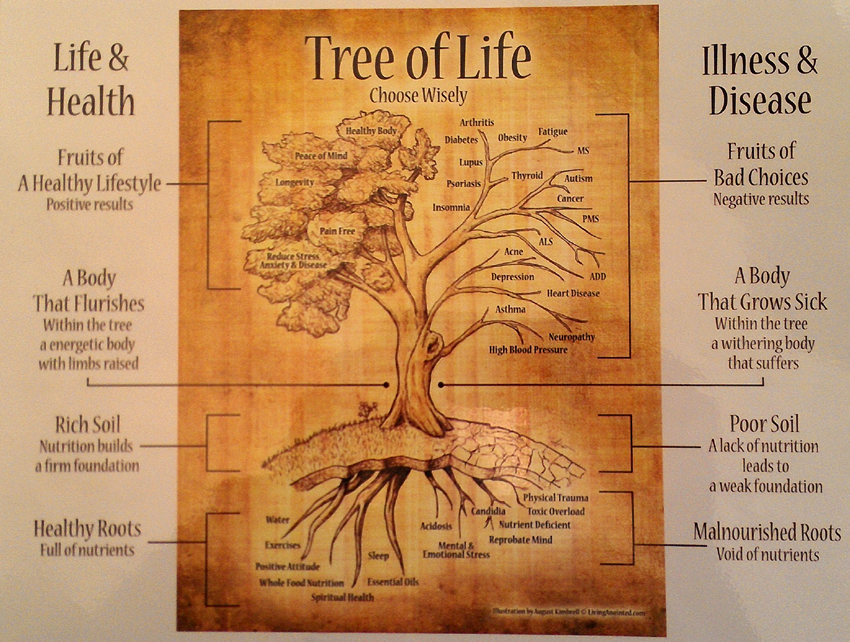 Tree Of Life